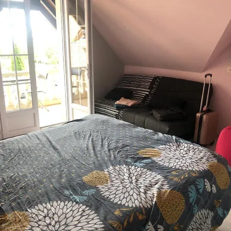 Logement 4 Personnes Avec Piscine Interieure 31 Degres Zoo De La Fleche 24 H Du Mans Exterior photo