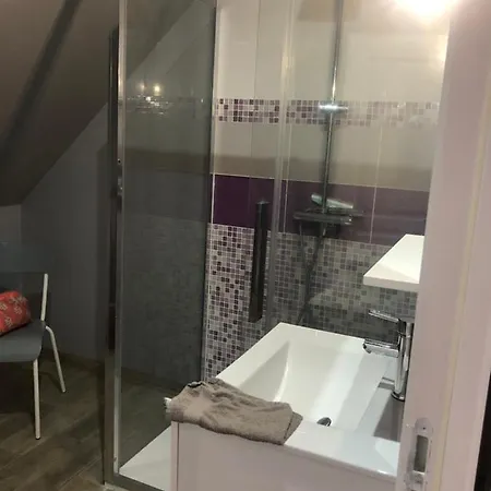 Logement 4 Personnes Avec Piscine Interieure 31 Degres Zoo De La Fleche 24 H Du Mans Exterior photo