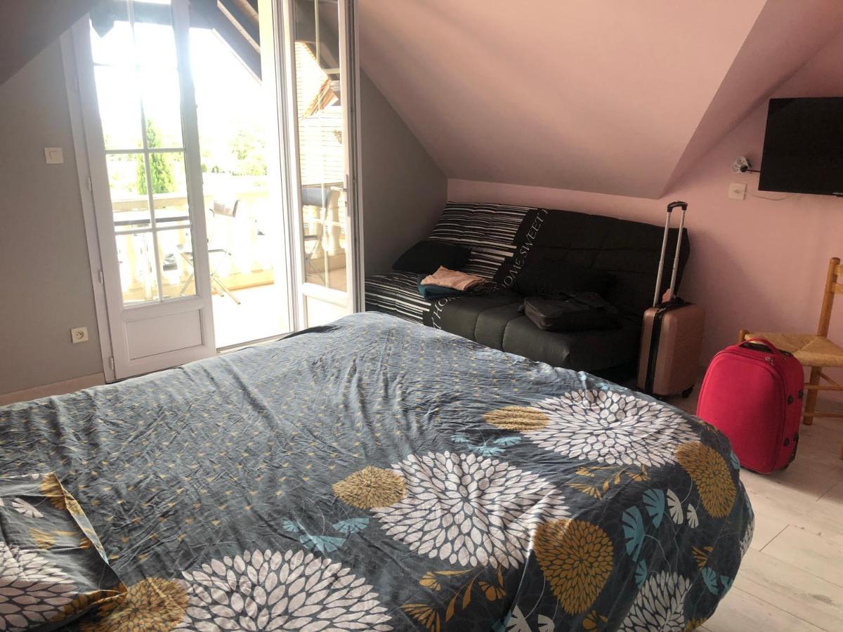 Apartamento 4 Personnes Avec Piscine Intérieure 31 Degrés Zoo De 24 H Du Mans La Flèche